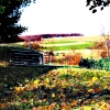 Scenery