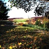 Fall at the Old Barn  11-05