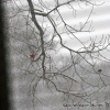 Winter Kitchen View