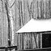 Winter Illusion
