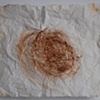 Red Earth Drawing 3