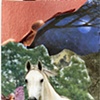 Companion: Spirit Horse