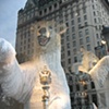 NYC Window 2009