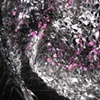 NightSkyShawl