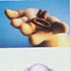 Council: Inner Knowing