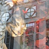 NYC Window 2009