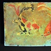 Three Koi