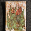 Red Tulips 