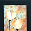 Peach Poppies 2010