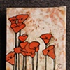 Red Lily