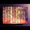 Aspens 09