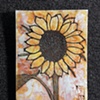 Yellow Sunflower