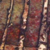 Aspens V 