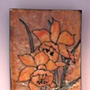 Daffodils 2010