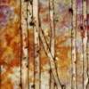 Aspens III
