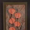 Poppies 2010