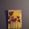 Poppies