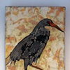 Bird 2010