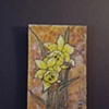 Yellow Flower