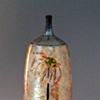 Vases 