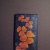 Yellow Flowers on dark 