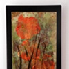 Orange Flowers 2010