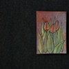 Red Tulips 