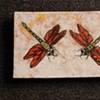 Two Dragonflys