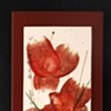 Red on White Flowers 2010