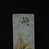 Grass
