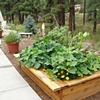 Kitchen Garden Planner