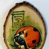 LADYBUG FOR TERRY