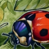 LADY BUG FOR LINDSEY