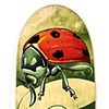 JOE'S BOARD