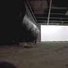 Crawl Space Landscape