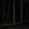 "Stand Reflected (Green)" 