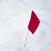 "Raze the Red Flag" (Detail)