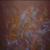"Nurturing Oscillations"