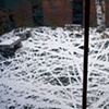 "Branches Transposed" (Detail)