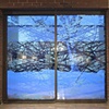 "Branches Transposed"