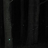 "Stand Reflected (Green)" (Detail)