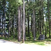 Research Image
