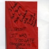 "Raze the Red Flag" (Detail)