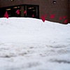 "Raze the Red Flag"