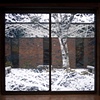 "Branches Transposed"