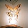 Mariposas