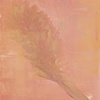 Golden Palm