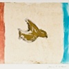 Caribbean Dove