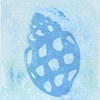Spiral Mollusk - Light Blue