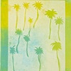 Key Lime Palms
